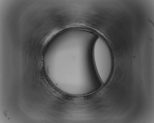 X0000102031363200807180957