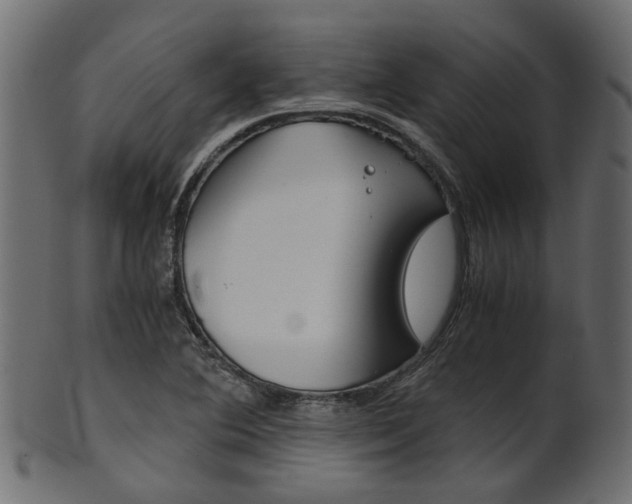 X0000102031364200807180956