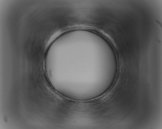 X0000102031365200807180956