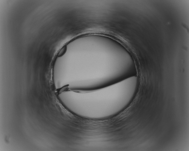 X0000102031366200807180956