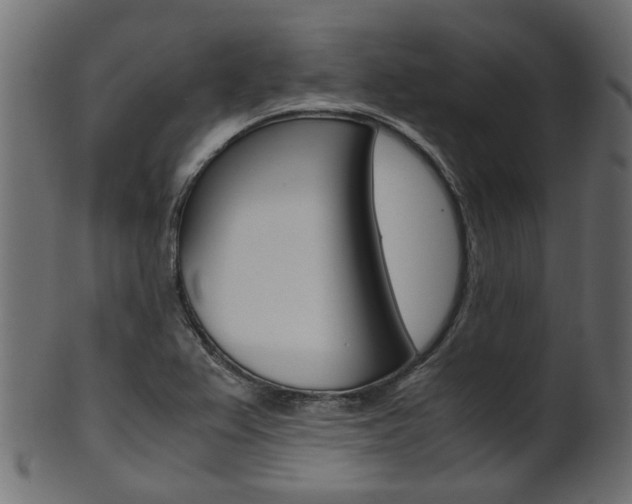 X0000102031367200807180956