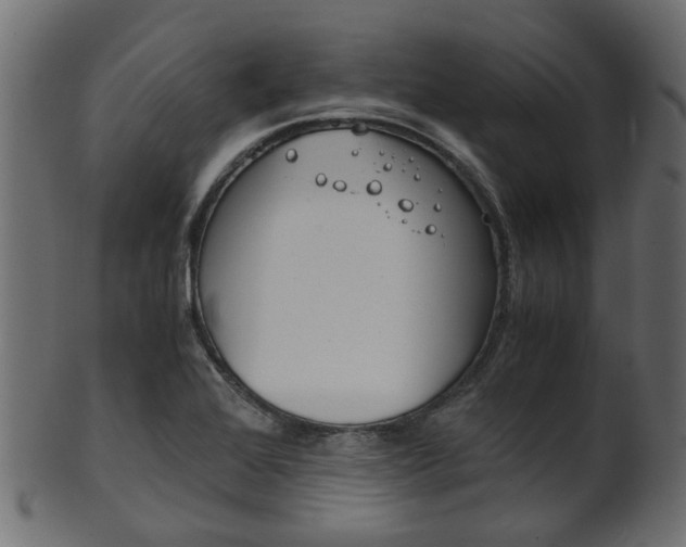 X0000102031368200807180956