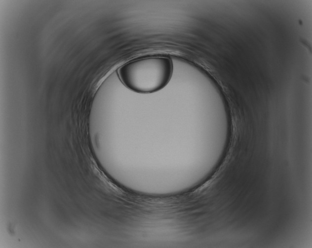 X0000102031369200807180956