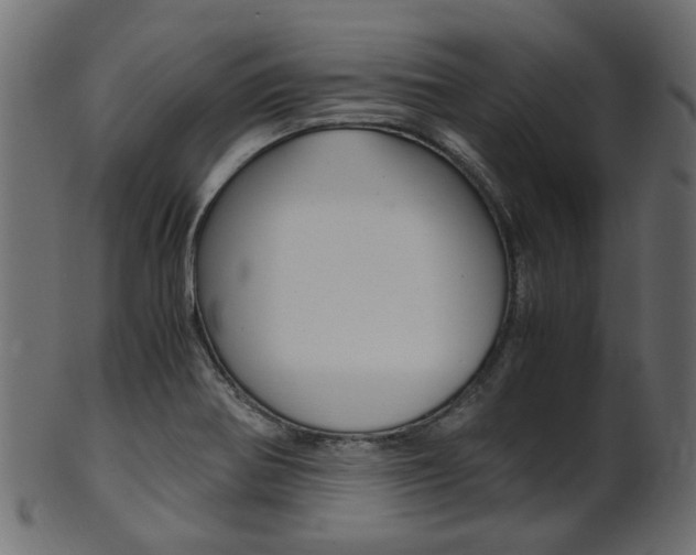 X0000102031370200807180956
