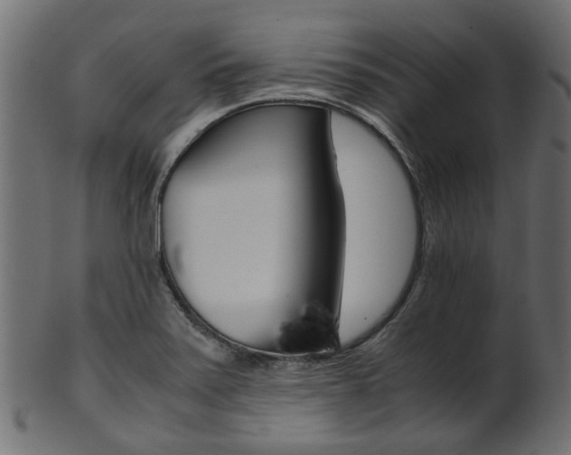 X0000102031371200807180956