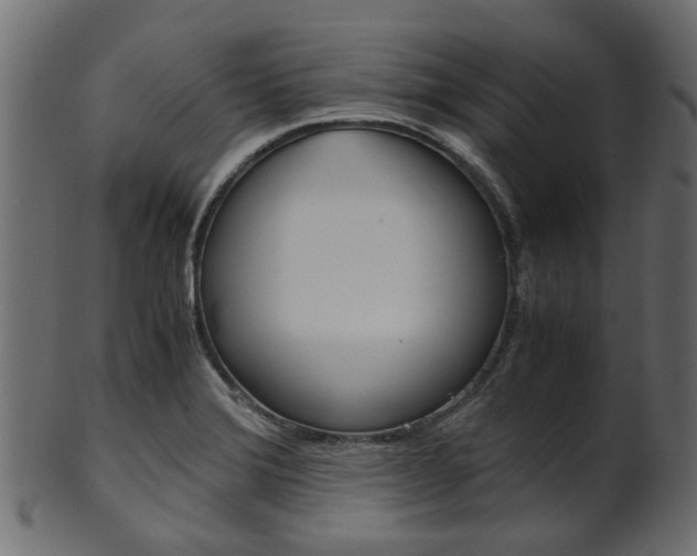 X0000102031372200807180956