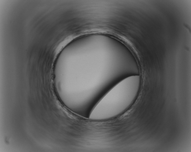 X0000102031373200807180956