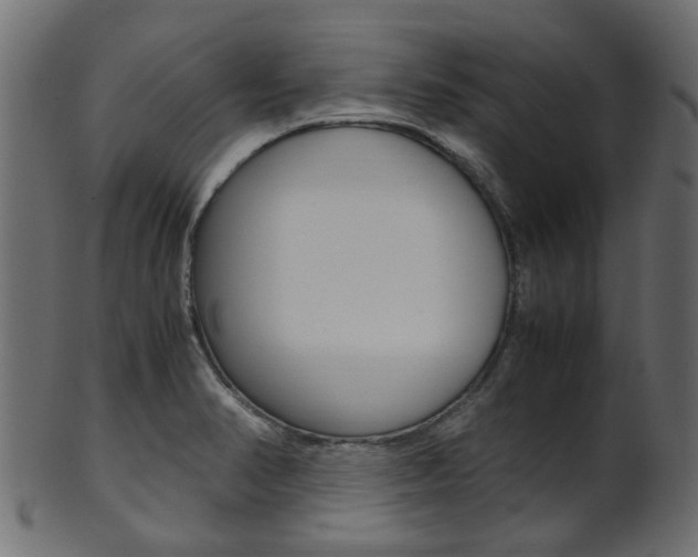 X0000102031374200807180956