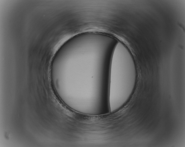 X0000102031375200807180956