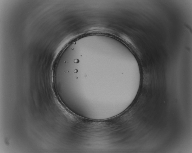 X0000102031376200807180956