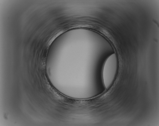 X0000102031377200807180956