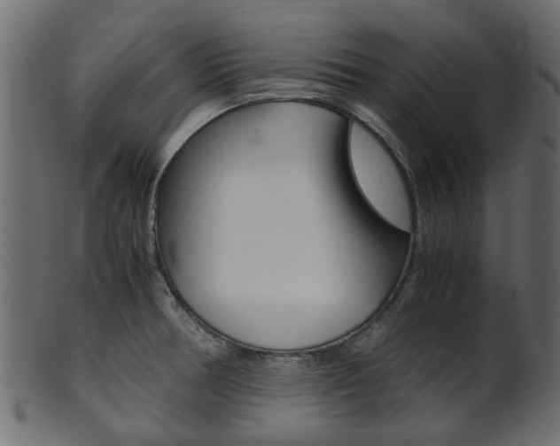 X0000102031378200807180956