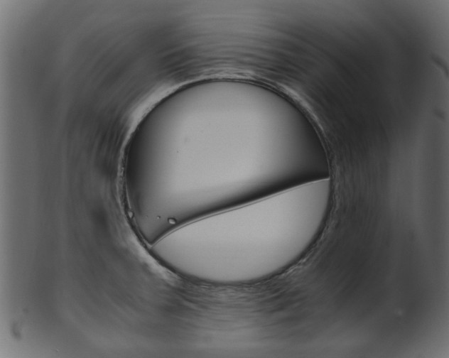 X0000102031379200807180956