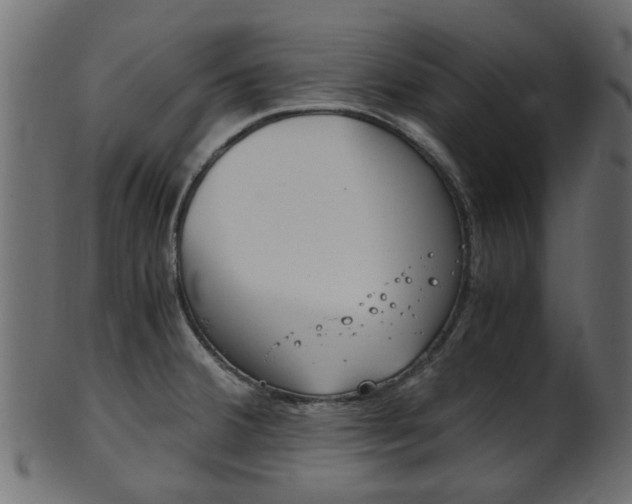 X0000102031380200807180956