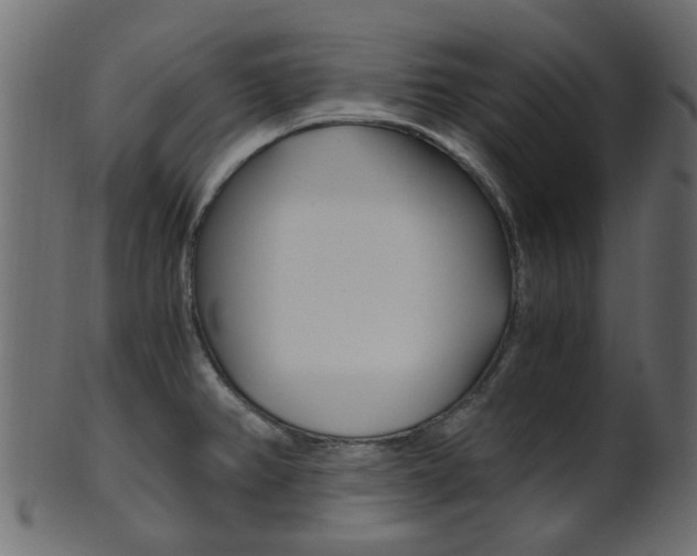 X0000102031382200807180956
