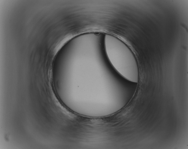 X0000102031383200807180956