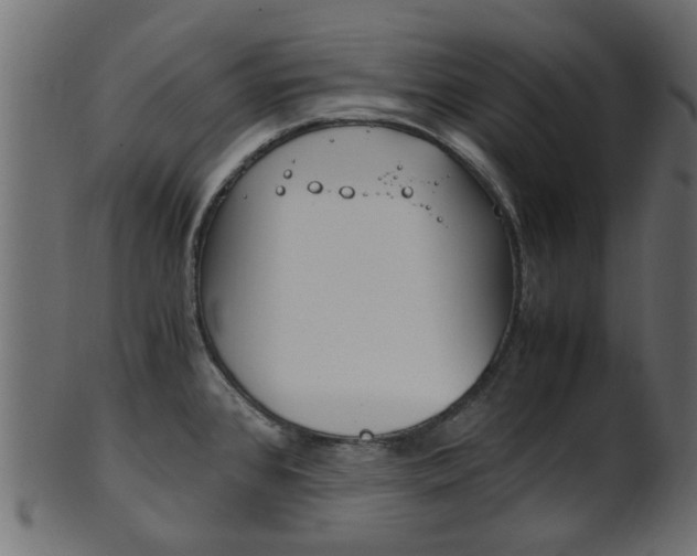 X0000102031384200807180956