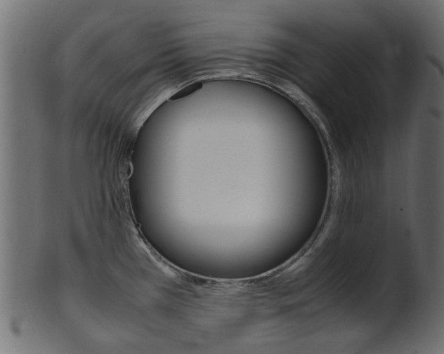 X0000102031385200807180956