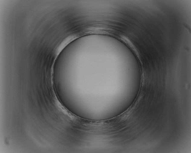X0000102031386200807180956