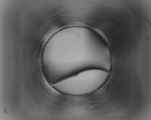 X0000102031387200807180956
