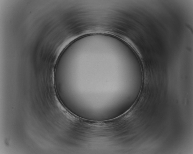 X0000102031388200807180956