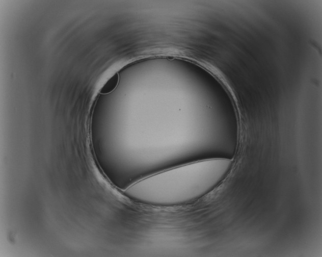 X0000102031389200807180956