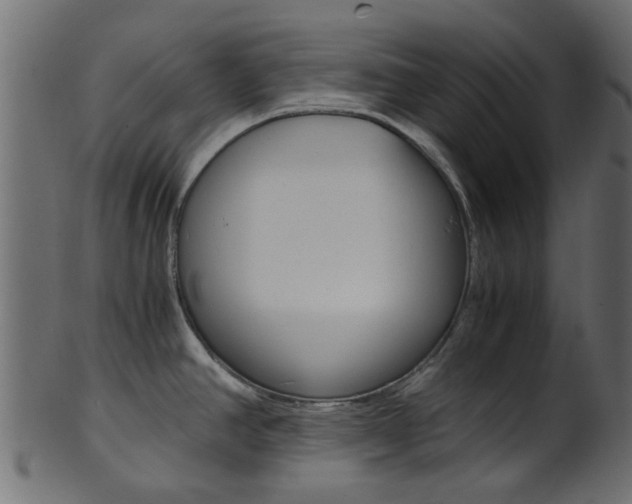 X0000102031390200807180956