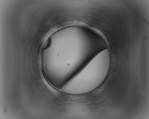 X0000102031391200807180956