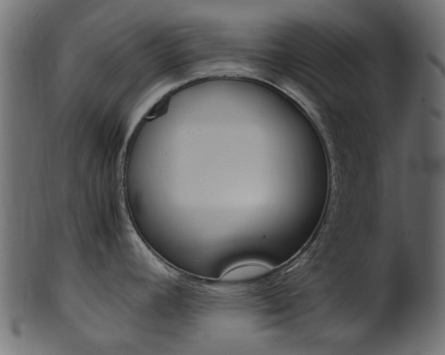 X0000102031392200807180956