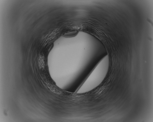 X0000102031394200807180955