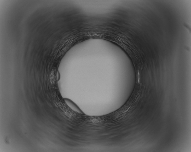 X0000102031395200807180955