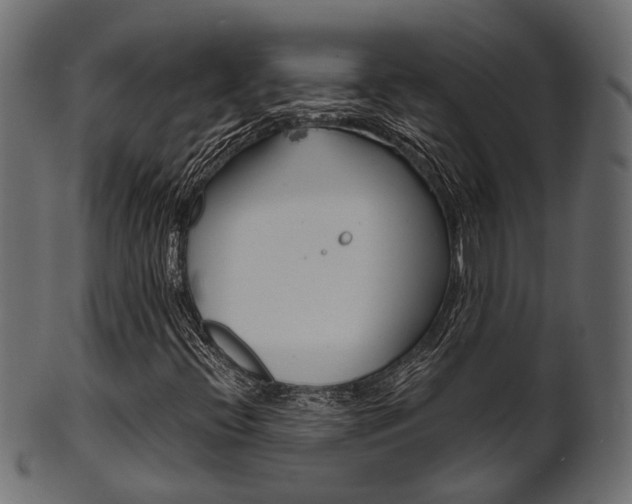 X0000102031396200807180955