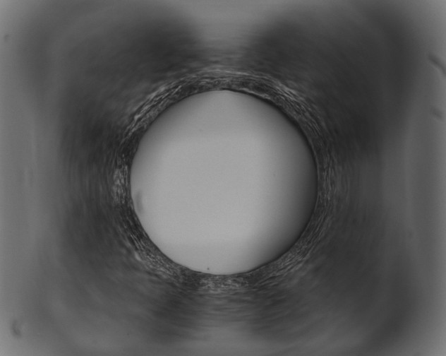 X0000102031397200807180955