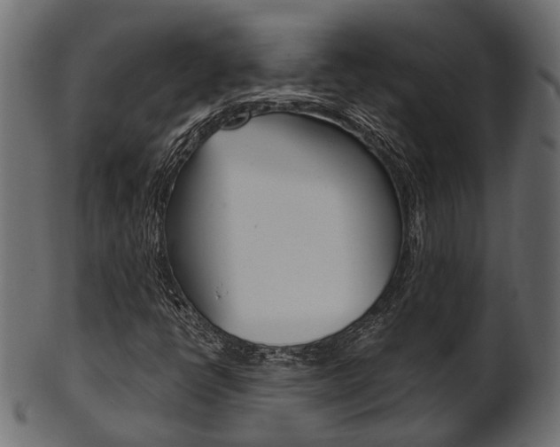 X0000102031398200807180955