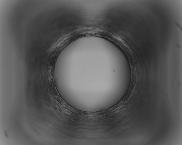 X0000102031399200807180956