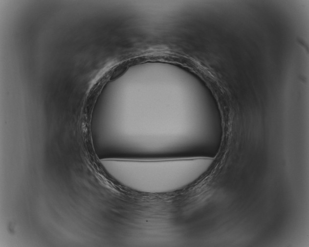 X0000102031400200807180956