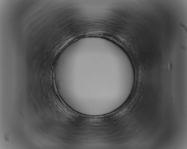 X0000102031401200807180956