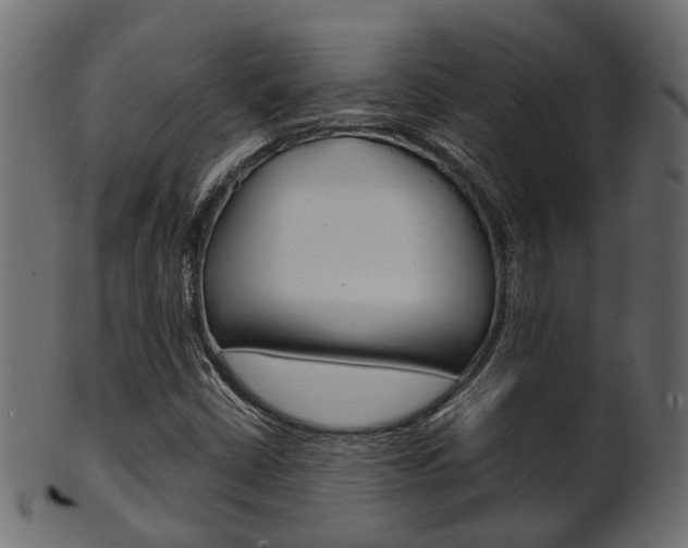 X0000102031402200807180956