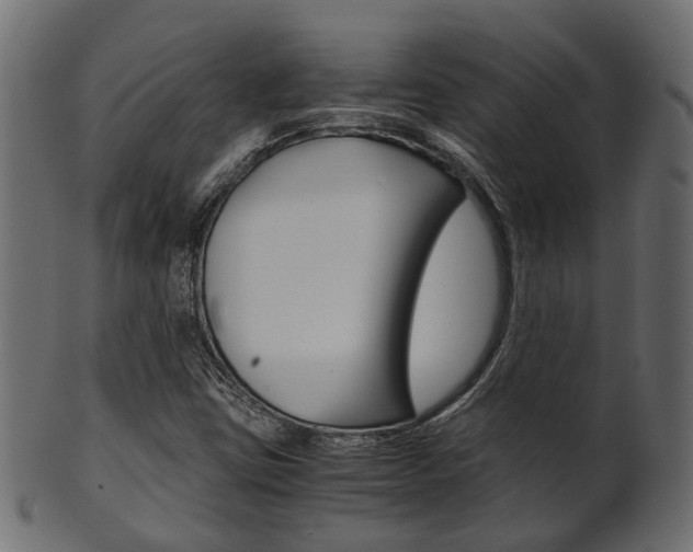 X0000102031403200807180956