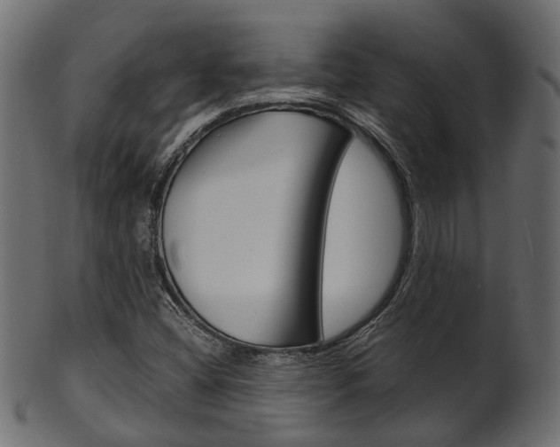 X0000102031404200807180956
