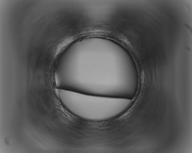 X0000102031405200807180956
