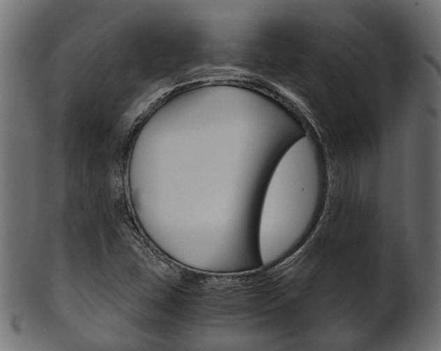 X0000102031407200807180956