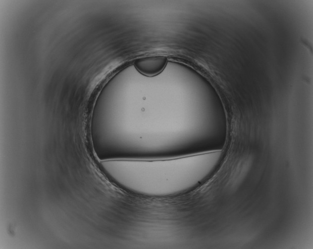 X0000102031410200807180956