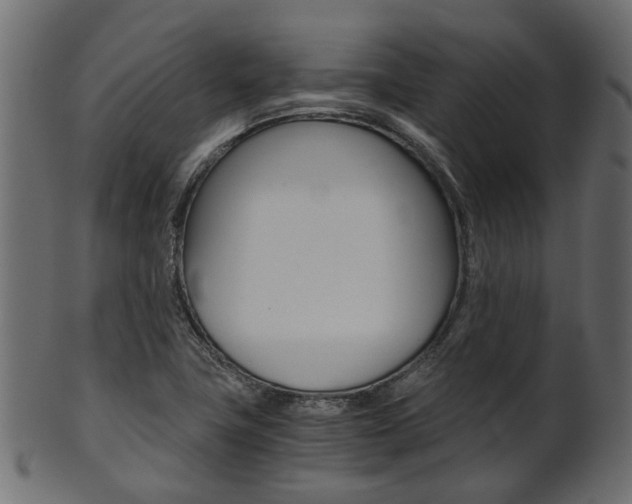 X0000102031411200807180956