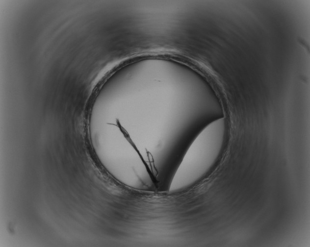 X0000102031412200807180956
