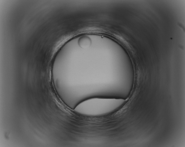 X0000102031413200807180956