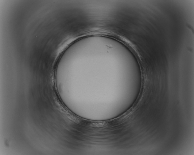 X0000102031415200807180956