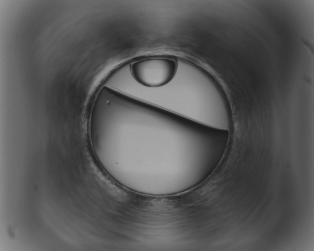 X0000102031416200807180956