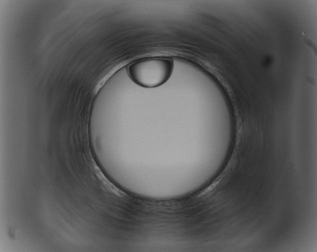 X0000102031417200807180956