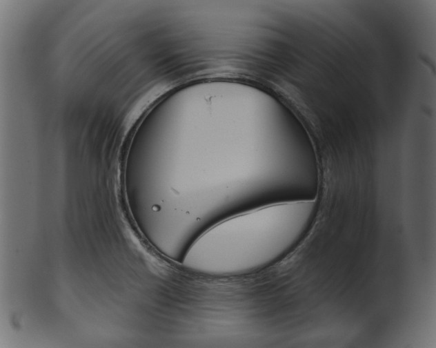 X0000102031418200807180956